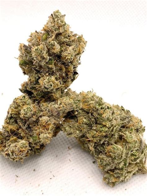 lemon versace strain|All Lemon Verzace Cannabis/Marijuana Strains .